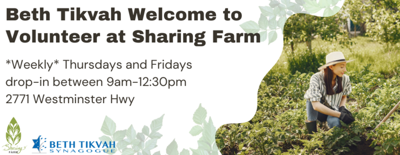 Banner Image for Volunteer at The Sharing Farm